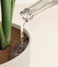 Load image into Gallery viewer, Natural Bamboo stand:all