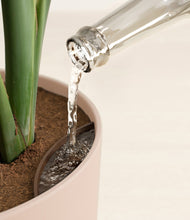 Load image into Gallery viewer, Sandy Pink stand:all