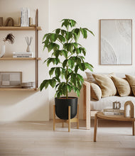 Load image into Gallery viewer, Stone Black stand:bamboo