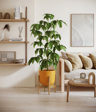 Load image into Gallery viewer, Sunset Orange stand:bamboo