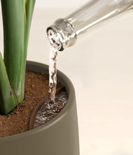 Load image into Gallery viewer, Olive stand:all