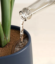 Load image into Gallery viewer, Deep Navy stand:all