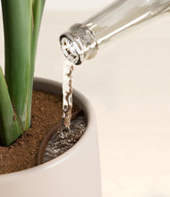 Load image into Gallery viewer, Eternal Gray stand:all