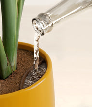 Load image into Gallery viewer, Mustard stand:all