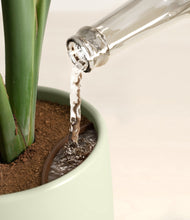 Load image into Gallery viewer, Turquoise stand:all