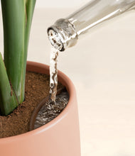 Load image into Gallery viewer, Calm Rose stand:all