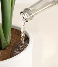 Load image into Gallery viewer, White stand:all