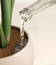 Load image into Gallery viewer, Desert Brown stand:all