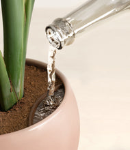 Load image into Gallery viewer, Calm Rose stand:all