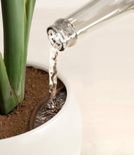 Load image into Gallery viewer, -