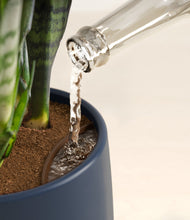 Load image into Gallery viewer, Deep Navy stand:all