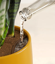 Load image into Gallery viewer, Mustard stand:all