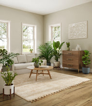 Load image into Gallery viewer, -