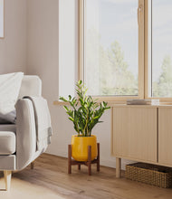 Load image into Gallery viewer, Mustard stand:walnut