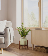 Load image into Gallery viewer, Turquoise stand:walnut