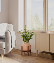 Load image into Gallery viewer, Calm Rose stand:walnut