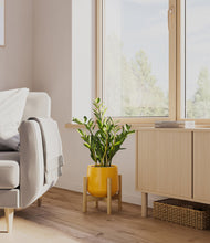 Load image into Gallery viewer, Mustard stand:bamboo