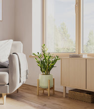 Load image into Gallery viewer, Turquoise stand:bamboo