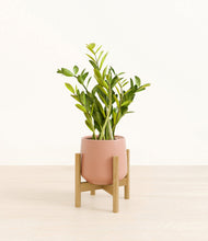 Load image into Gallery viewer, Calm Rose stand:bamboo