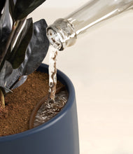 Load image into Gallery viewer, Deep Navy stand:all