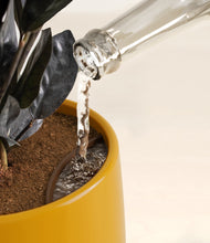 Load image into Gallery viewer, Mustard stand:all