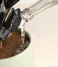 Load image into Gallery viewer, Turquoise stand:all