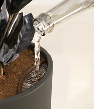 Load image into Gallery viewer, Dark Olive stand:all