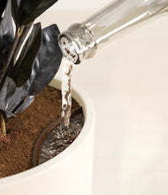 Load image into Gallery viewer, Cream stand:all