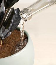 Load image into Gallery viewer, Deep Ocean stand:all