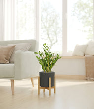 Load image into Gallery viewer, Dark Olive stand:bamboo