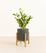 Load image into Gallery viewer, Dark Olive stand:bamboo