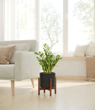 Load image into Gallery viewer, Black stand:walnut