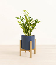 Load image into Gallery viewer, Deep Navy stand:bamboo