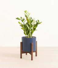 Load image into Gallery viewer, Deep Navy stand:walnut