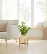 Load image into Gallery viewer, Cream stand:bamboo