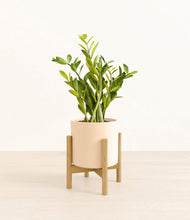 Load image into Gallery viewer, Cream stand:bamboo