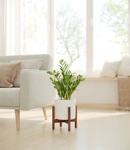 Load image into Gallery viewer, White stand:walnut