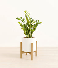 Load image into Gallery viewer, White stand:bamboo