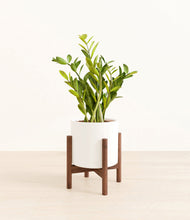 Load image into Gallery viewer, White stand:walnut