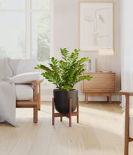 Load image into Gallery viewer, Stone Black stand:walnut