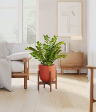 Load image into Gallery viewer, Earth Red stand:walnut