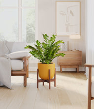 Load image into Gallery viewer, Sunset Orange stand:walnut