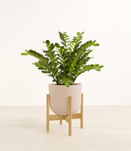 Load image into Gallery viewer, Sandy Pink stand:bamboo