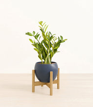 Load image into Gallery viewer, Deep Navy stand:bamboo