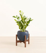 Load image into Gallery viewer, Deep Navy stand:walnut