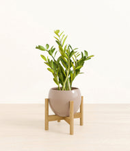 Load image into Gallery viewer, Desert Brown stand:bamboo