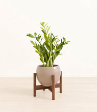 Load image into Gallery viewer, Desert Brown stand:walnut