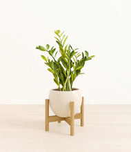 Load image into Gallery viewer, Shiny EggWhite stand:bamboo