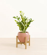 Load image into Gallery viewer, Calm Rose stand:bamboo