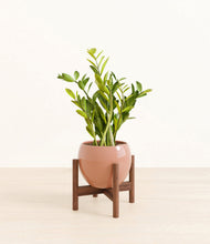 Load image into Gallery viewer, Calm Rose stand:walnut